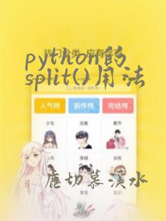 python的split()用法