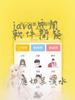 java应用 软件开发