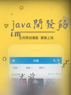 java开发的im