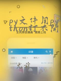 py文件用python打不开