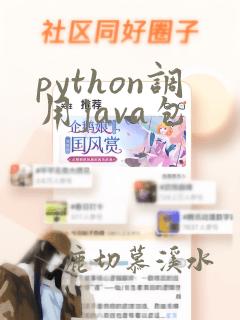 python调用java包