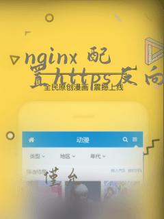 nginx 配置https反向代理