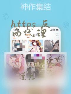 https 反向代理