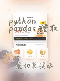 python pandas 读取数据