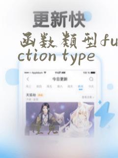函数类型function type