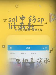 sql中的split函数