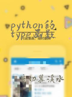 python的type函数