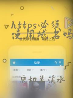 https必须使用域名吗