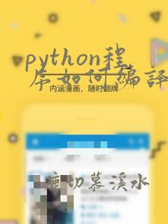 python程序如何编译运行
