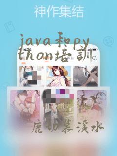 java和python培训