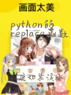 python的replace函数用法