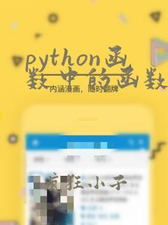 python函数中的函数