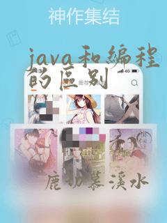 java和编程的区别