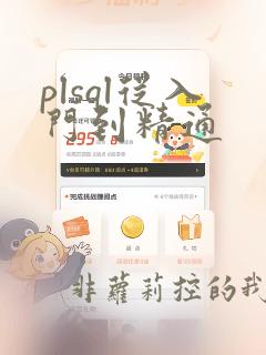 plsql从入门到精通