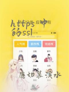 https 中的ssl