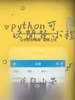 python可以开发小程序
