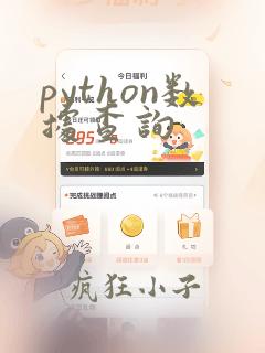 python数据查询