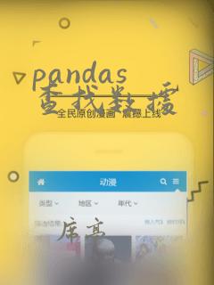 pandas 查找数据