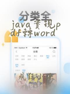java实现pdf转word