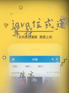 java位或运算符