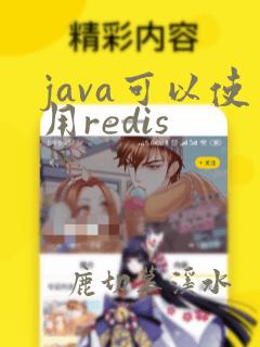 java可以使用redis