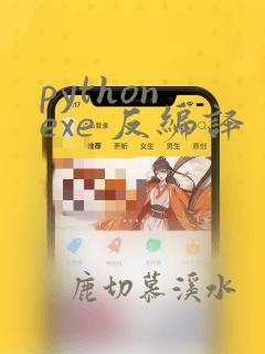python exe 反编译