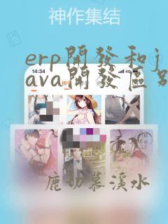 erp开发和java开发区别