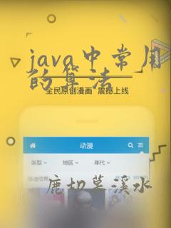 java中常用的算法