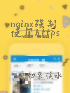 nginx强制使用https