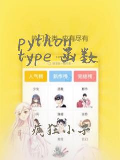 python type 函数
