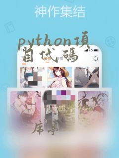python项目代码