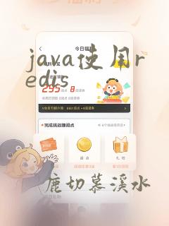 java使用redis