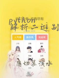 python 解析二进制文件
