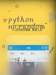 python np.random
