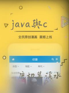 java与c