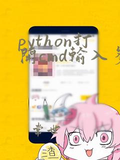 python打开cmd输入多行命令