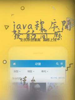 java程序开发的简历