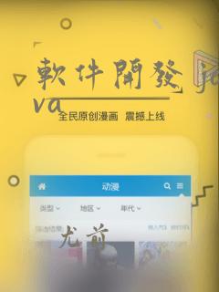 软件开发 java