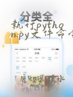 执行python.py文件命令
