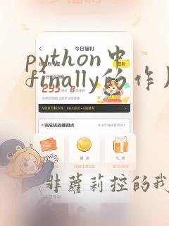 python中finally的作用