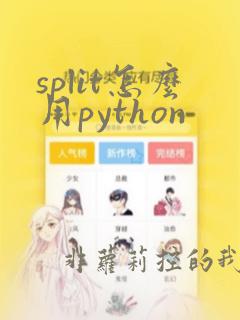 split怎么用python