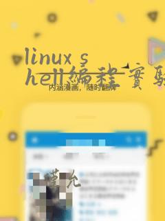 linux shell编程实验总结