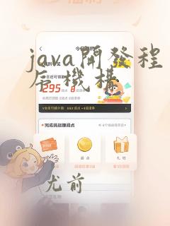 java开发程序 机构