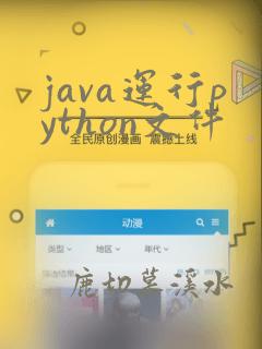 java运行python文件