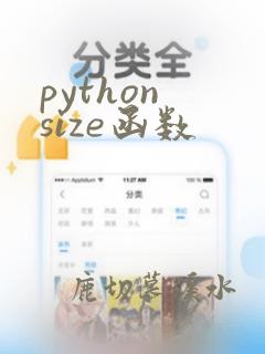 python size函数