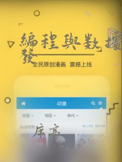 编程与数据库开发