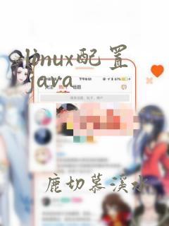 linux配置java