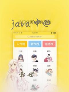 java中@