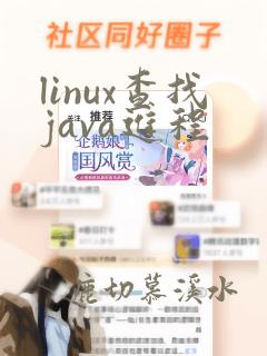 linux查找java进程