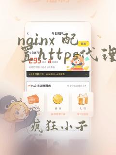 nginx 配置https代理